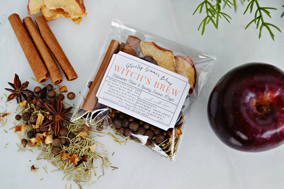 #1157 Witch's Brew Autumn Fall Halloween Simmer Stovetop Spices