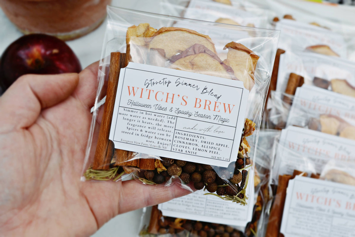 #1157 Witch's Brew Autumn Fall Halloween Simmer Stovetop Spices