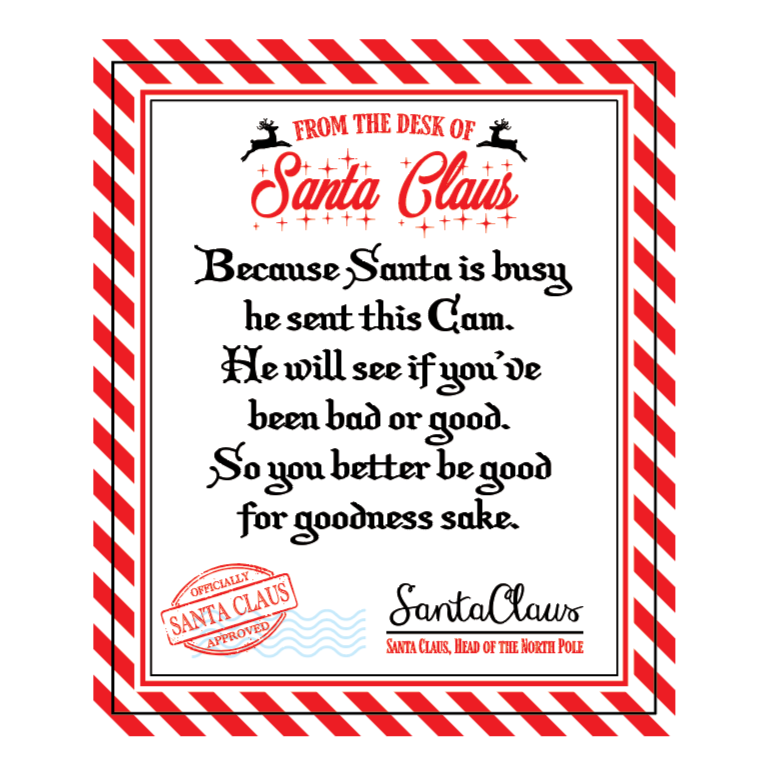 #1006 Christmas Santa Cam Night Light