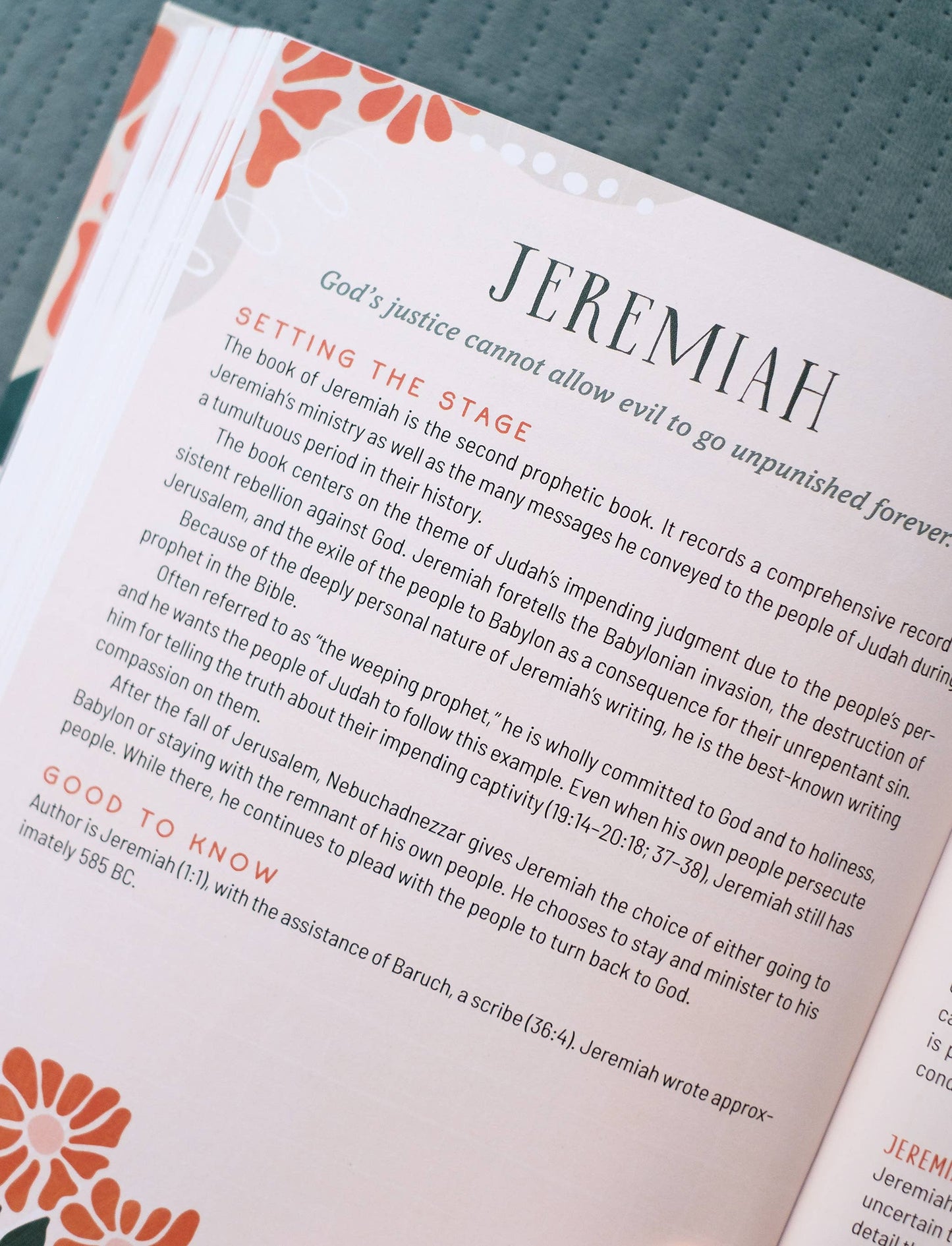 #624 Taking Your Time through the Bible