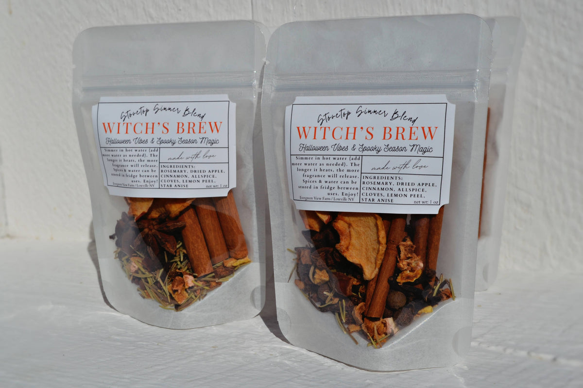 #1157 Witch's Brew Autumn Fall Halloween Simmer Stovetop Spices