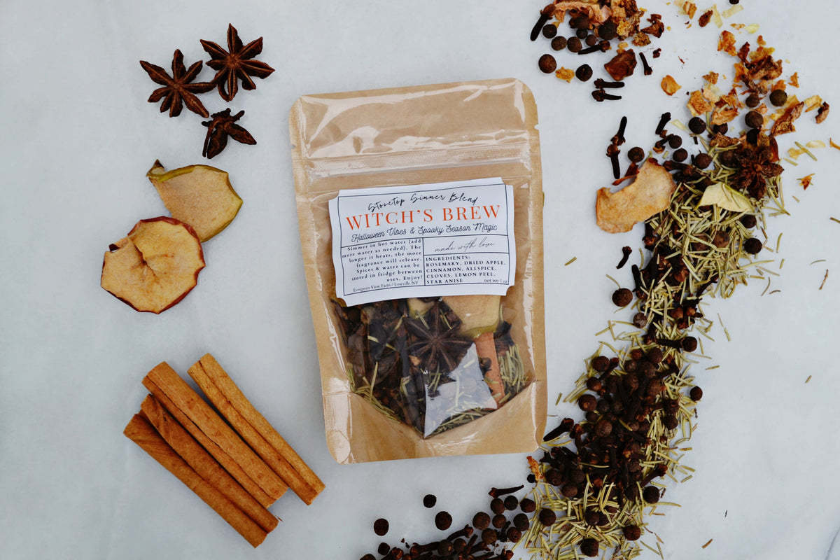#1157 Witch's Brew Autumn Fall Halloween Simmer Stovetop Spices