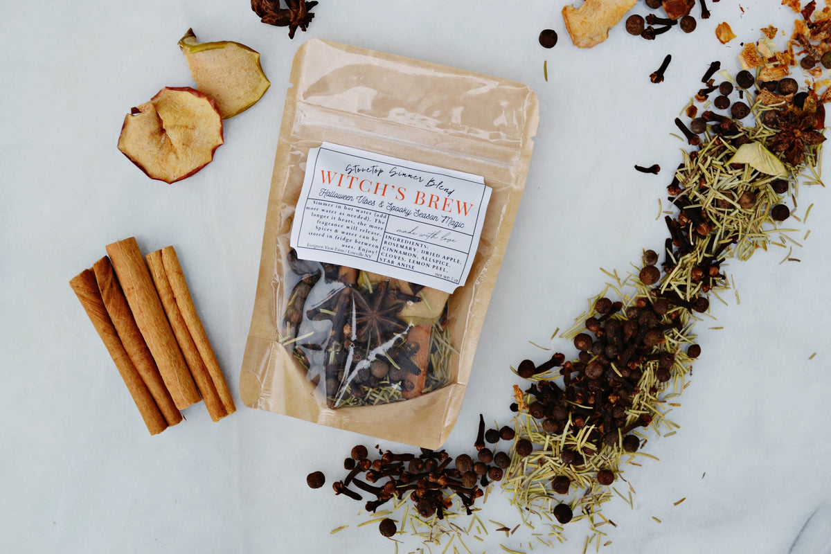#1157 Witch's Brew Autumn Fall Halloween Simmer Stovetop Spices