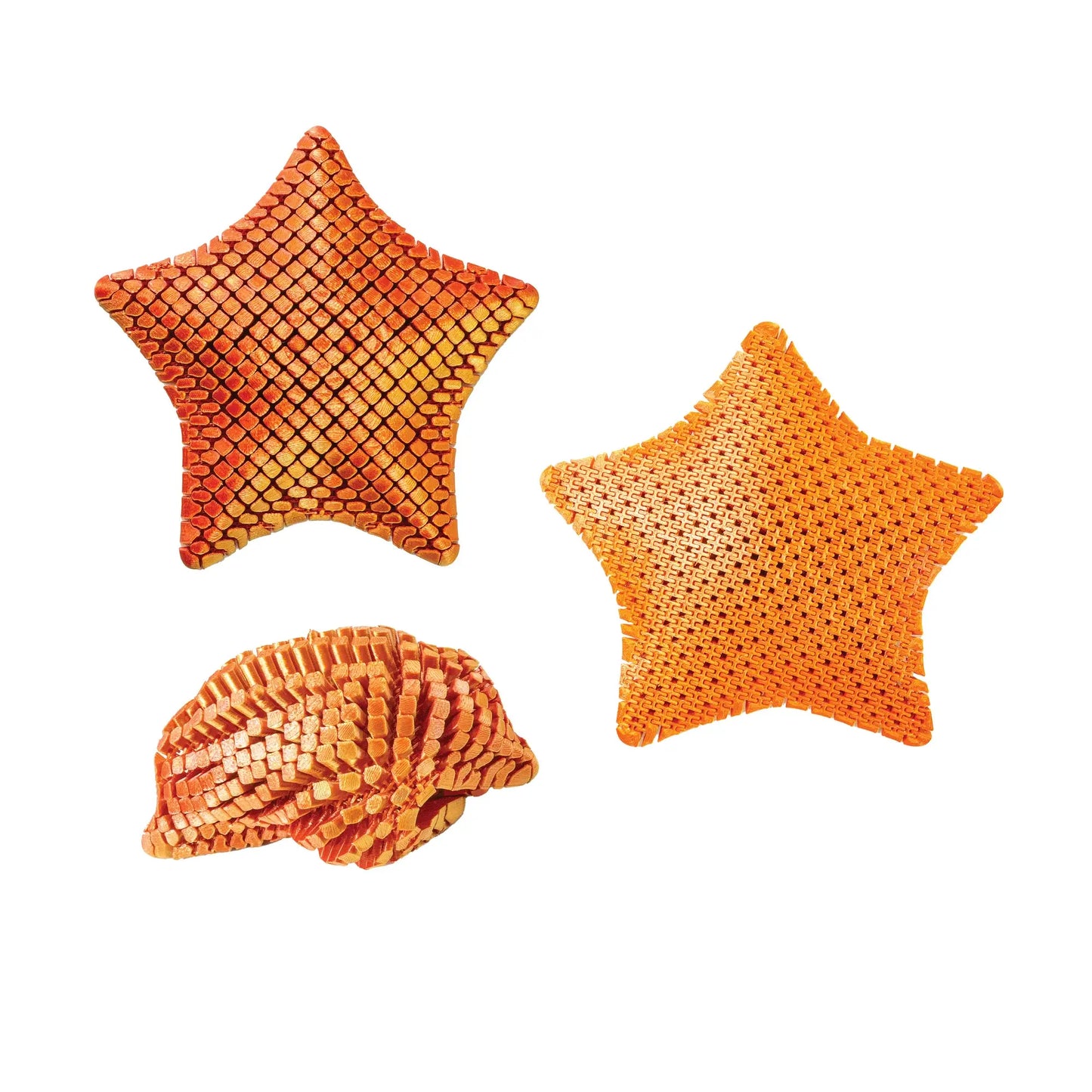 3D PRINTED STARFISH FIDGET TOY