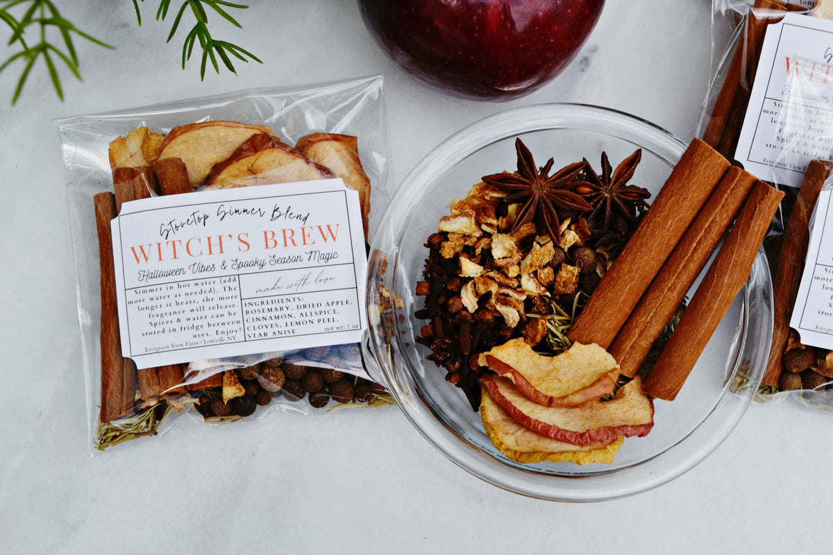 #1157 Witch's Brew Autumn Fall Halloween Simmer Stovetop Spices