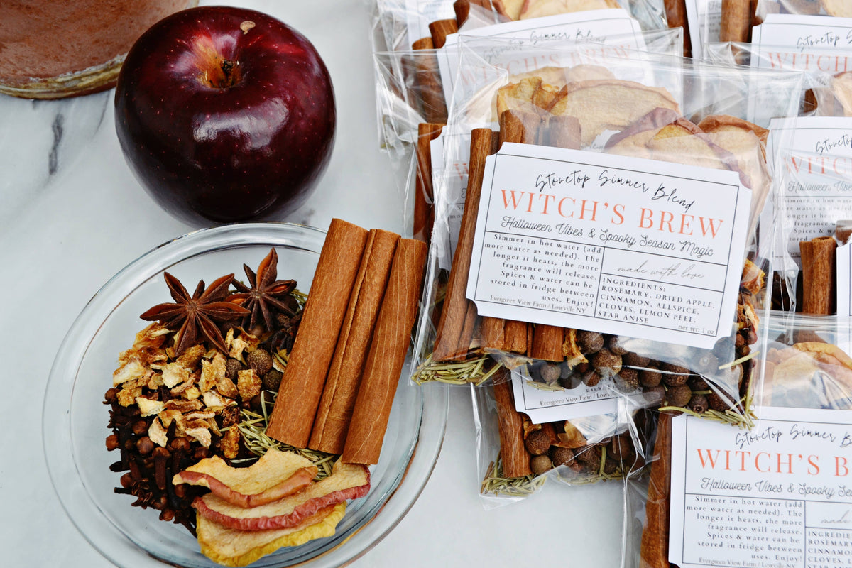 #1157 Witch's Brew Autumn Fall Halloween Simmer Stovetop Spices
